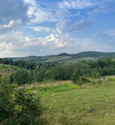 Plavya Casa | BerryWood