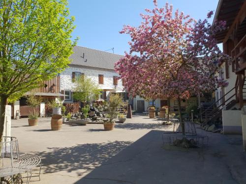 Munstermaifeld Apartamento | Besondere Ferienwohnung Spirit auf idyllischem Reiterhof nahe Burg Eltz