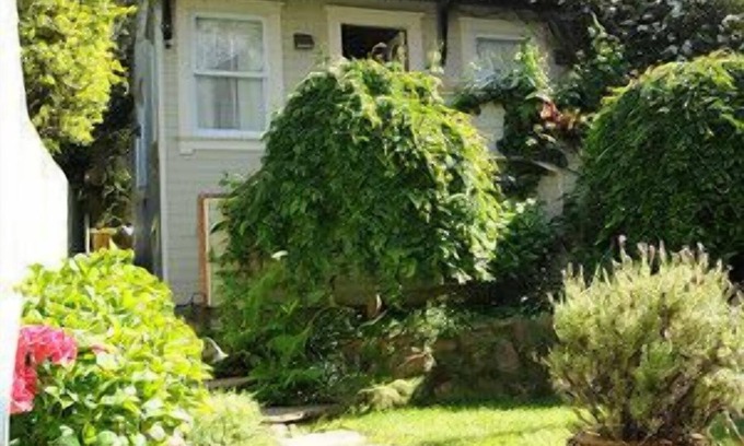 Pacific Heights Cabaña | La mejor cabaña de lujo de la joya escondida en el centro de San Francisco, excelente ubicación
