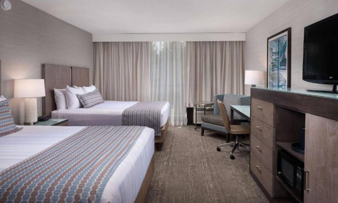 Newport Casa | Best Value, Quality Stay! Free Parking, Indoor Pool, Pets Allowed!