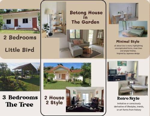 Betong Casa | Betong House in the Garden
