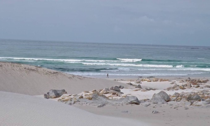 Betty's Bay Casa | Betty's Bay- home to Stony Point penguin colony, and the Kogelberg Biosphere