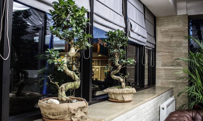Saburtalo Hotel | BG Palace Hotel