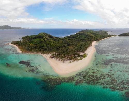 El Nido Otro | Bice Camp Darocotan