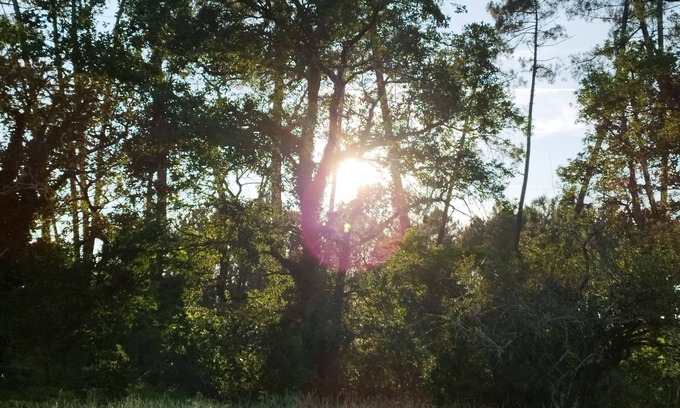 Noaillan Casa | Bienvenue en sud Gironde