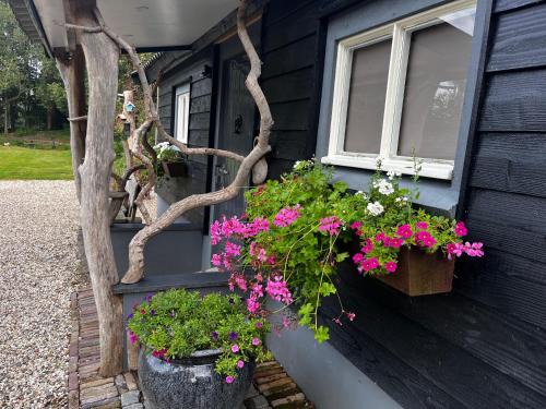Wenum-Wiesel Casa | Bij Boom