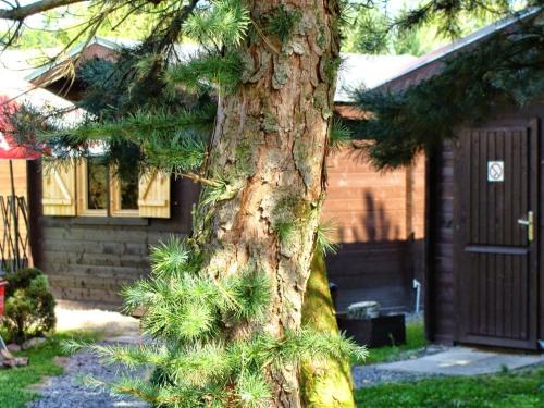 Przewoz Casa | Bike Camping