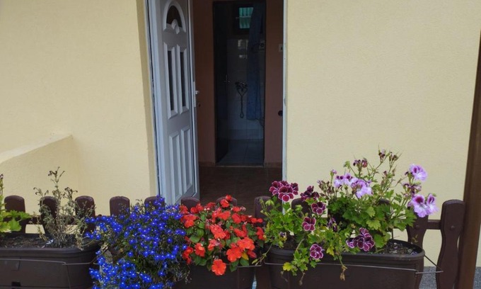 Veternik Apartamento | Biljana's guest house