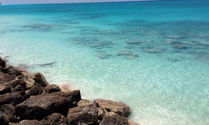 Alice Town Casa | Resorts World Bimini, Tarpon 8 slip - 65Ft