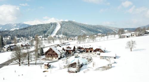 Ramsau am Dachstein Casa | Bio-Bauernhof Simonbauer