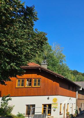 Hochegg Apartamento | Bio-Schafbauernhof-Kölbel