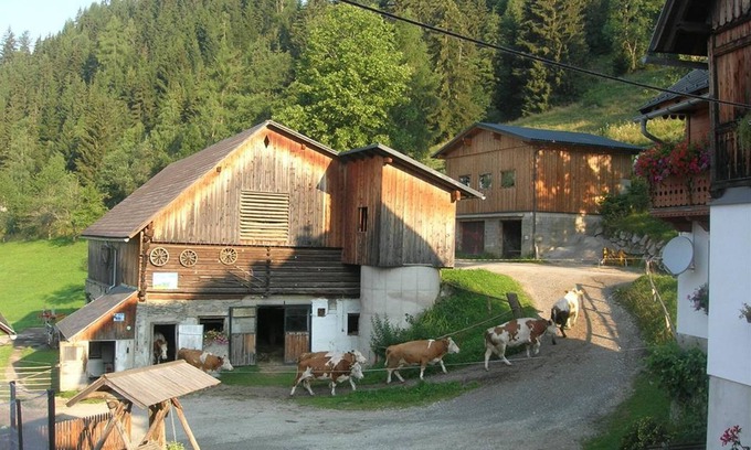 Aigen im Ennstal Apartamento | Bio-wohlfühlhaus Morgensonne - Möslhof