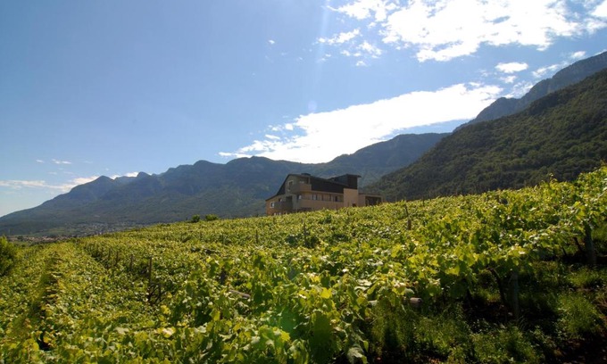 Pianizza Di Sopra Apartamento | Biobauernhof St. Quirinus