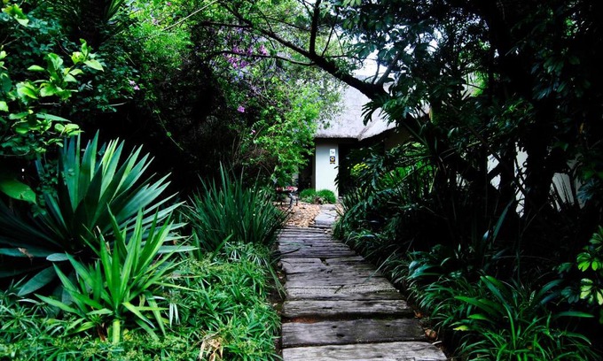 Greater Johannesburg Metropolitan Area Cama Y Desayuno | Birch Tree Cottage