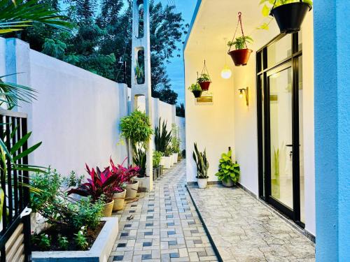 Tangalle Casa | Bird House Villas