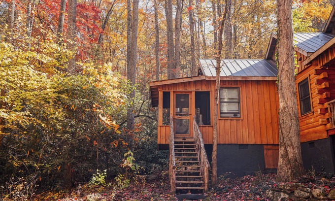 Saluda Cabina | Bird's Nest cabin at Cabin Fever in NC!