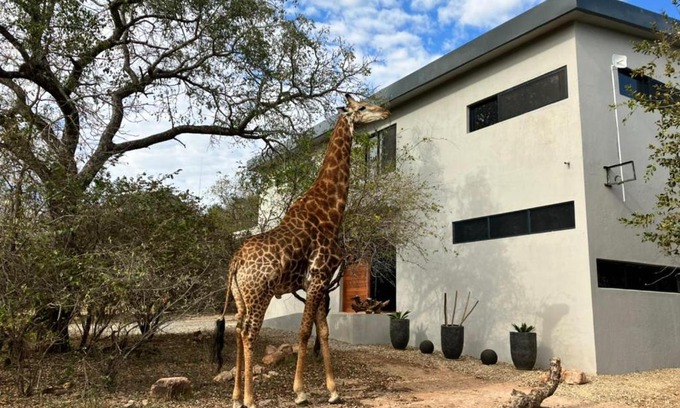 Marloth Park Casa | Birdsong Kruger