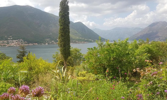 Dobrota Apartamento | Biser lux - Kotor Bay - Sea view & Swimming Pool