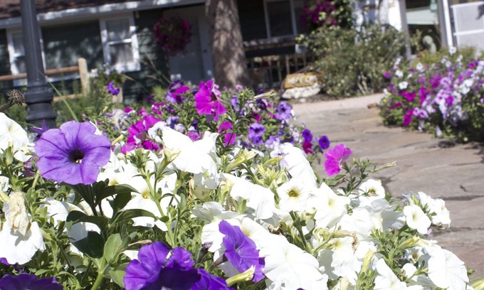 Hill City Otro | Black Elk Resort Cottages and RV Park