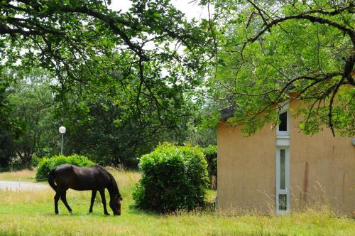 Cuxac-Cabardes Casa | Black Mountain Village