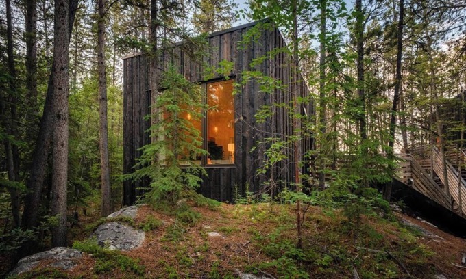 Whitehorse Cabina | Black Spruce - Green Door