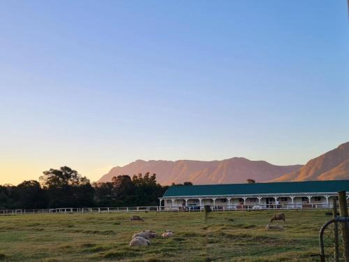 Swellendam Cama Y Desayuno | Blue Mountain Farm Lodge, Cabins & Cottages