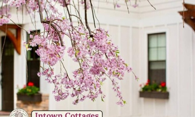 Black Mountain Casa | Blue Ridge Getaway & Spa ~ King | Sauna | Walkable