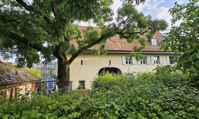 Gebenstorf Apartamento | Blue Wall BnB - business apartments