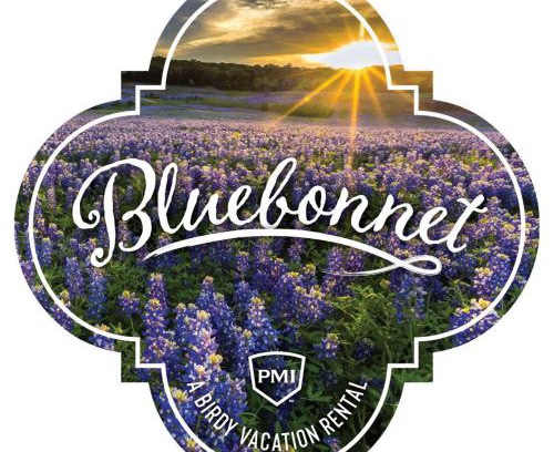 Wetmore Casa | Bluebonnet - A Birdy Vacation Rental