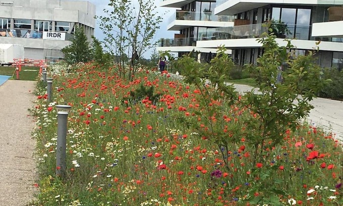 Aarhus C Apartamento | Bo med stil og udsigt til Aarhus lystbådehavn
