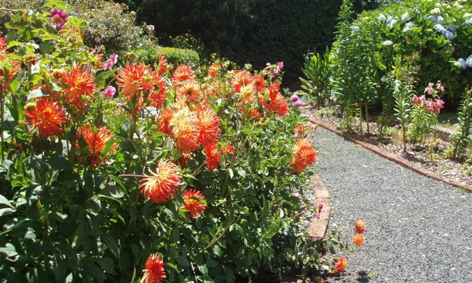 Boat Harbour Casa | Boat Harbour Garden Cottages