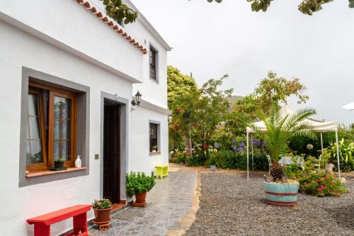 El Granel Apartamento | Bodega Goyo