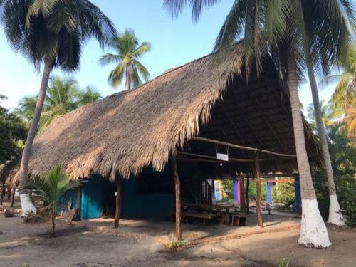 Tonala Casa | Bokanito Nojoch