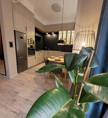 Boleslawiec Apartamento | BoleslaviaApartments - Apartament Simon 3, Center, air conditioning