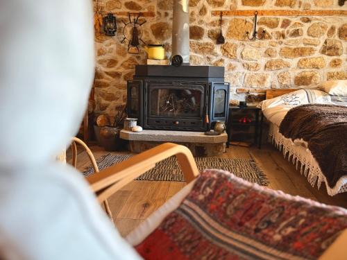 Beden Casa | Books Houses