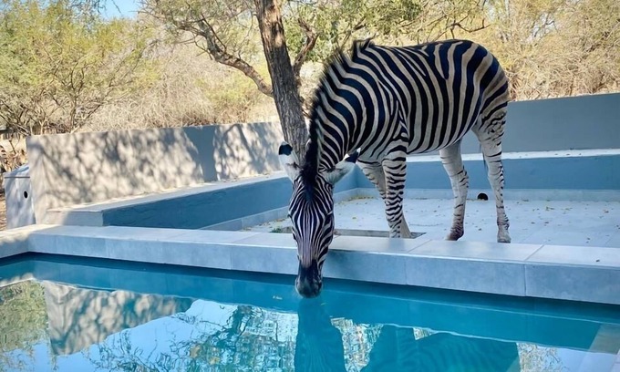 Marloth Park Cabina | Bordering Kruger National Park, this modern and spacious 3 bedroom lodge awaits