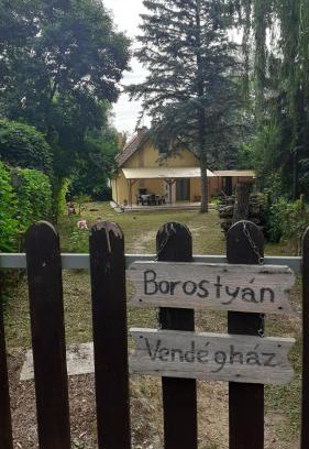 Tiszaug Apartamento | Borostyán Vendégház