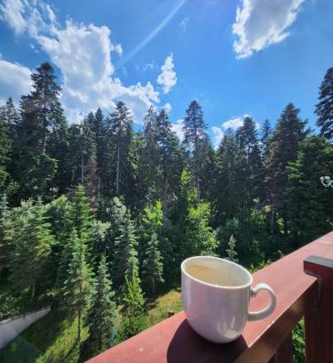 Borovets Apartamento | Borovets Violet by Ski slopes