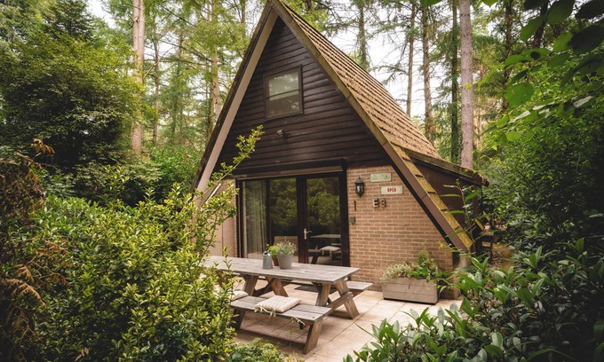Rekem Casa | Boshuisje Boris is a cosy 6-person holiday home