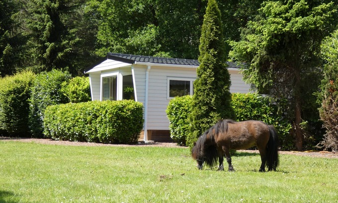 Marum Chalet De Esquí | Boshuisje op rustiek terrein