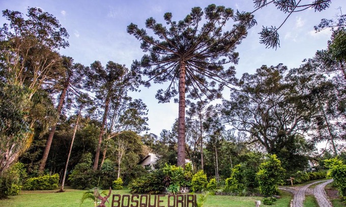 Reboucas Casa | Bosque Oriri