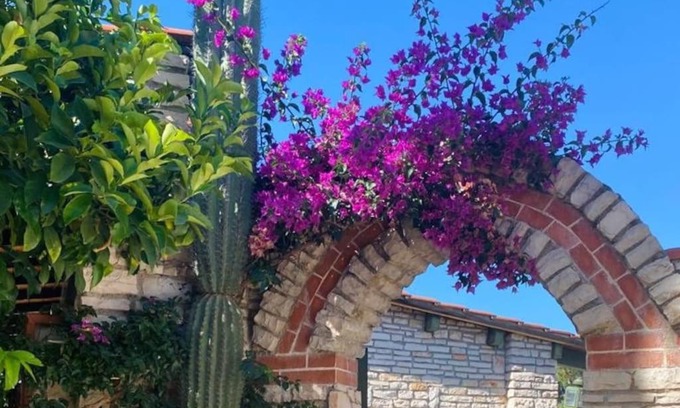 Bisceglie Apartamento | Bouganvillea Pool & Sea