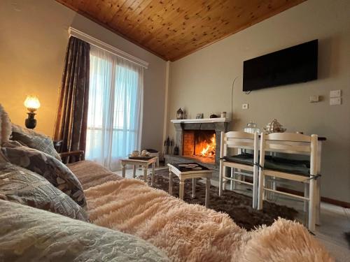Arachova Apartamento | Boutique Arachova Retreat - Peaceful Mountain View