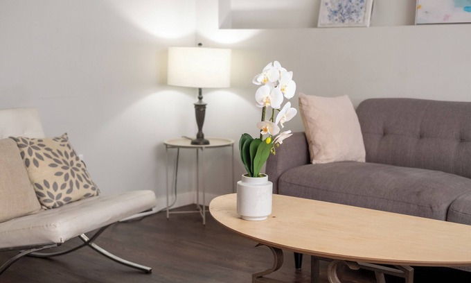 Bow Riverfront Casa | Bow River Haven: 3-Bed Basement Suite
