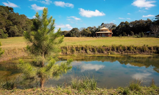 Miringuava Cabaña | Cozy, nature-filled, pet-friendly cottage