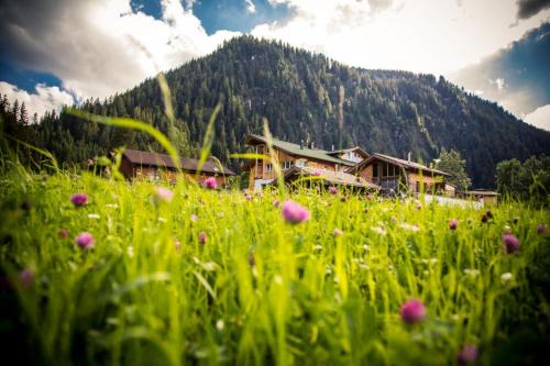 Haldensee Apartamento | Braito's Seaside Lodges und Suites, Ferienhäuser und Ferienwohnungen