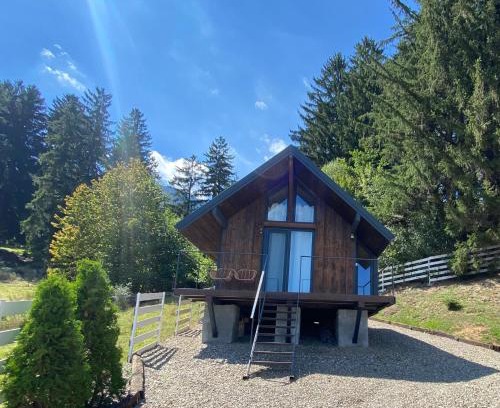 Zarnesti Chalet De Esquí | Bramble Tiny House