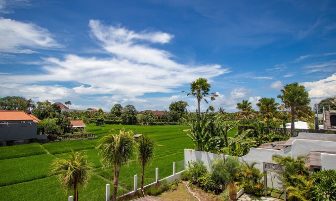 Umalas Villa | Brand new villa - Ricefield View, Canggu + Rooftop