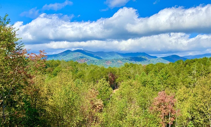 Asheville Casa | Grandes vistas, cerca del centro, Biltmore House, acceso al río, perros, 12A