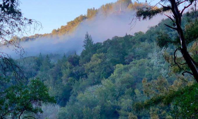 Napa Apartamento | Breathtaking Napa Valley 30-day rental!